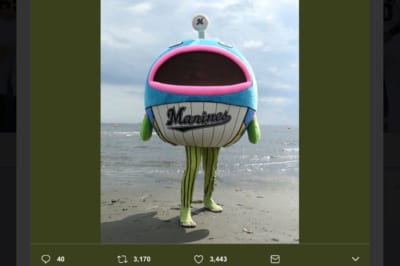 千葉ロッテマリーンズ