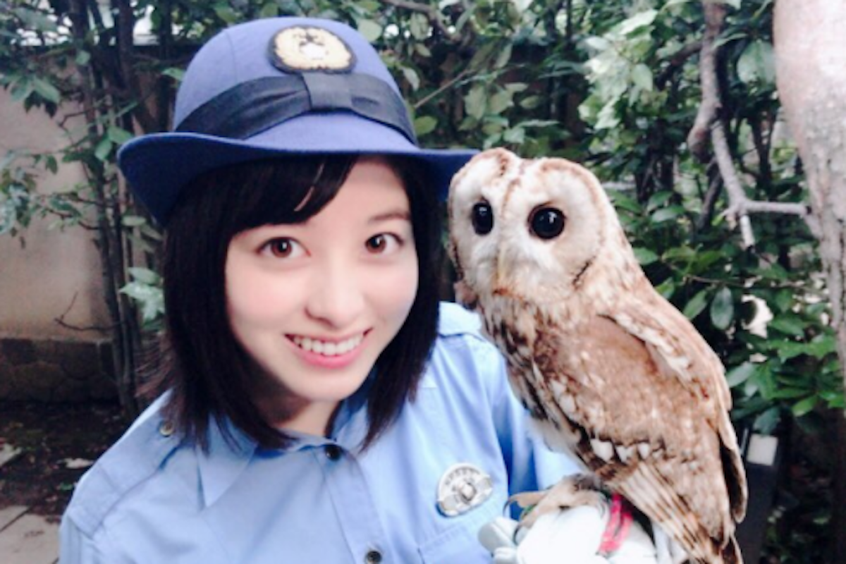 警視庁いきもの係 フクロウ フェレット 橋本環奈がかわいすぎ Sirabee