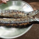 sirabee0823sanma006