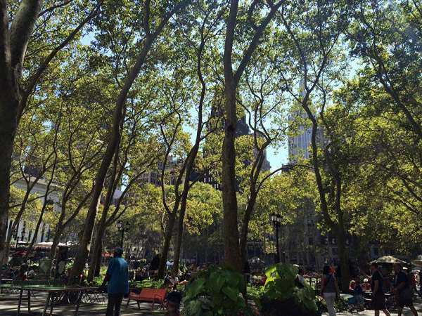 sirabe1004abeyuki  1