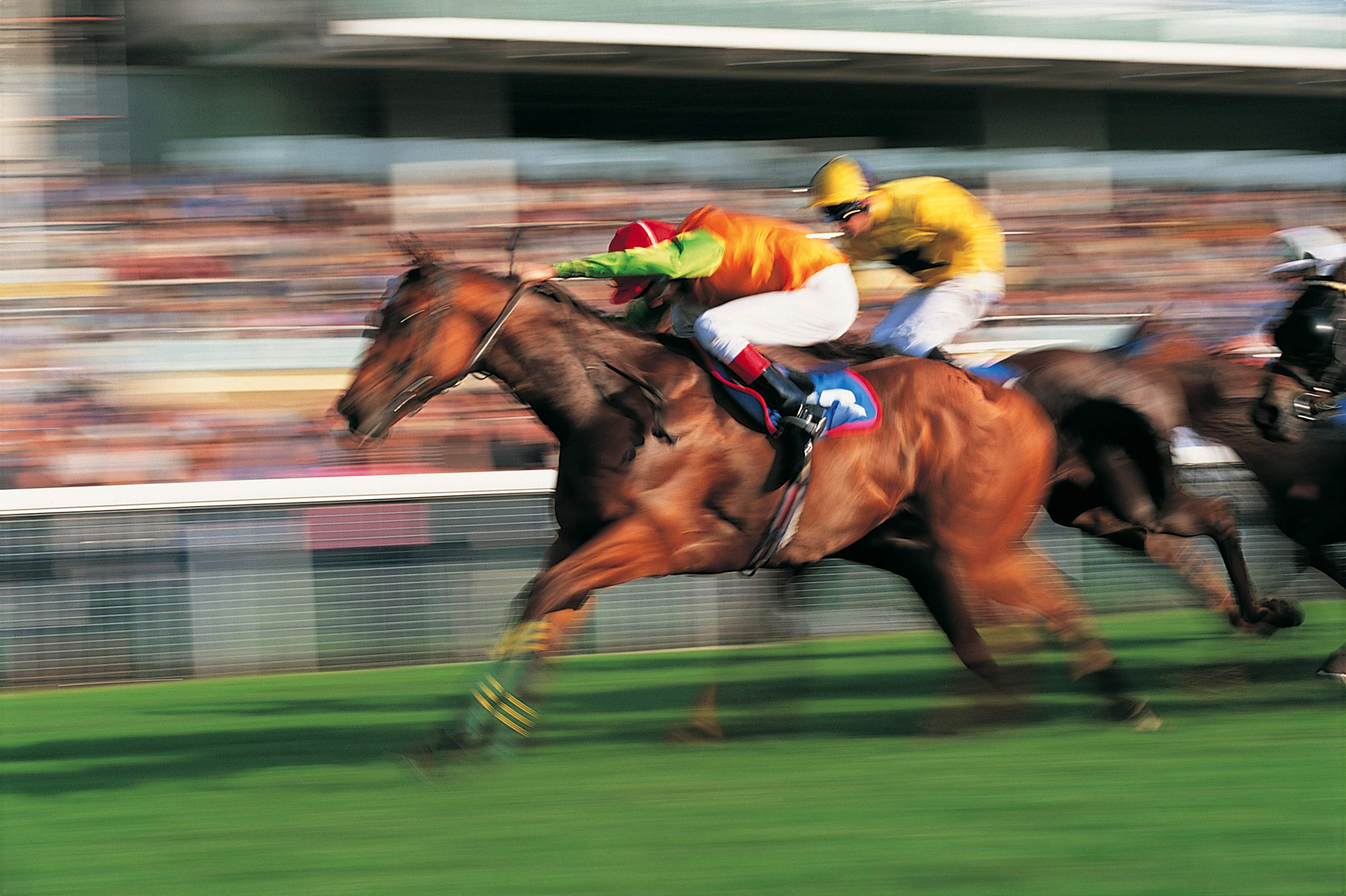 路上キス報道の武豊 女性の趣味が一貫している と話題に ニュースサイトしらべぇ