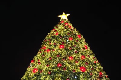 クリスマスツリー