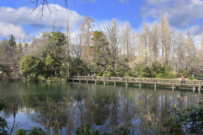 井の頭公園