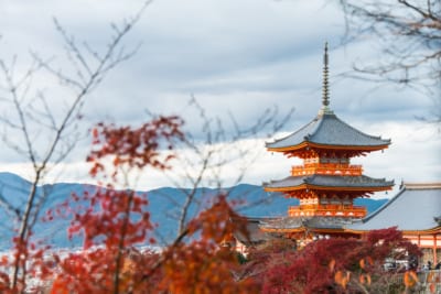 京都
