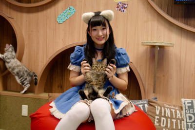 僕と猫