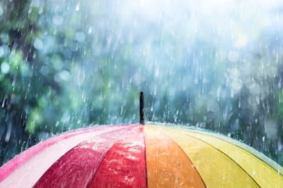 雨