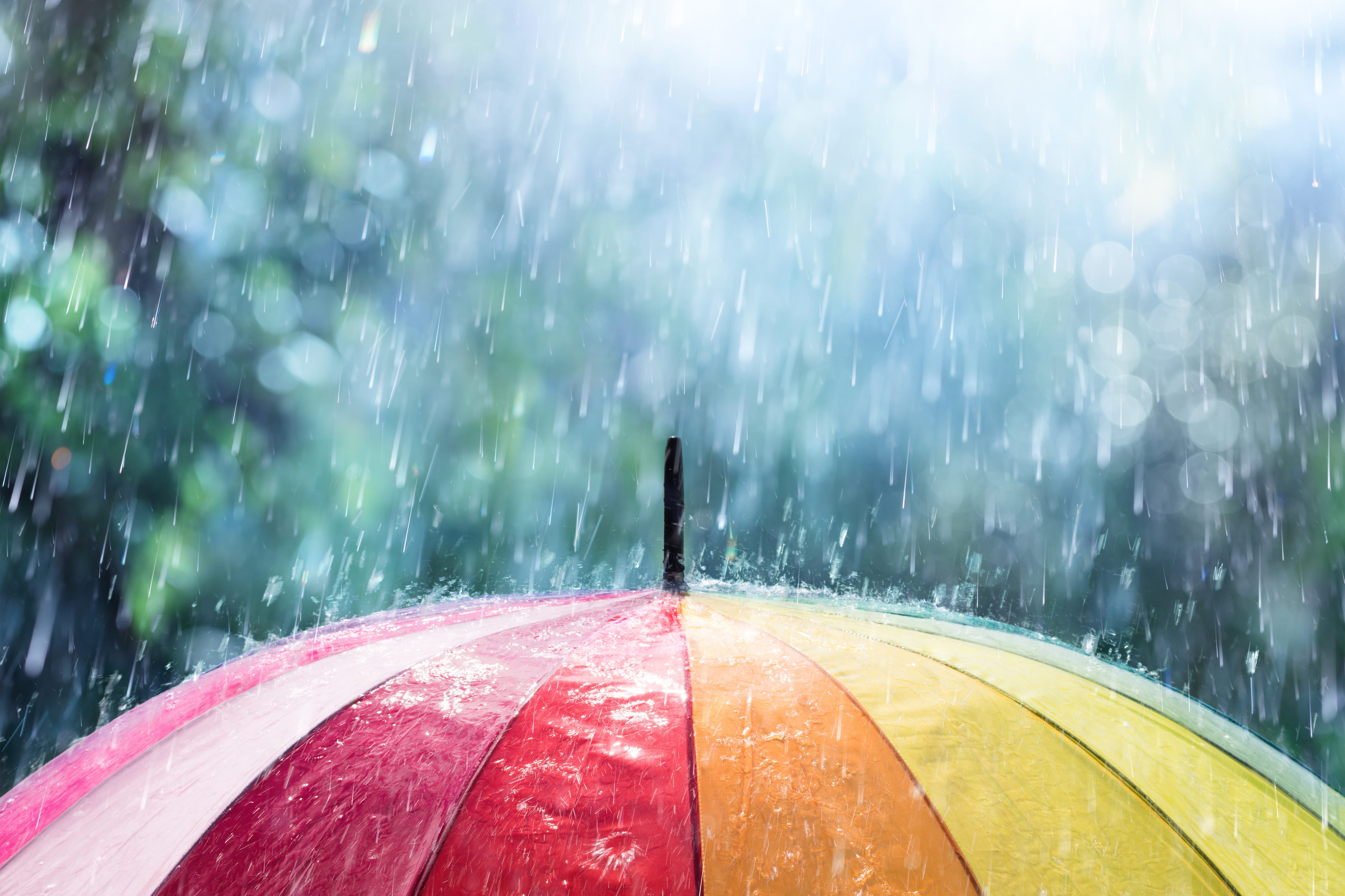 雨