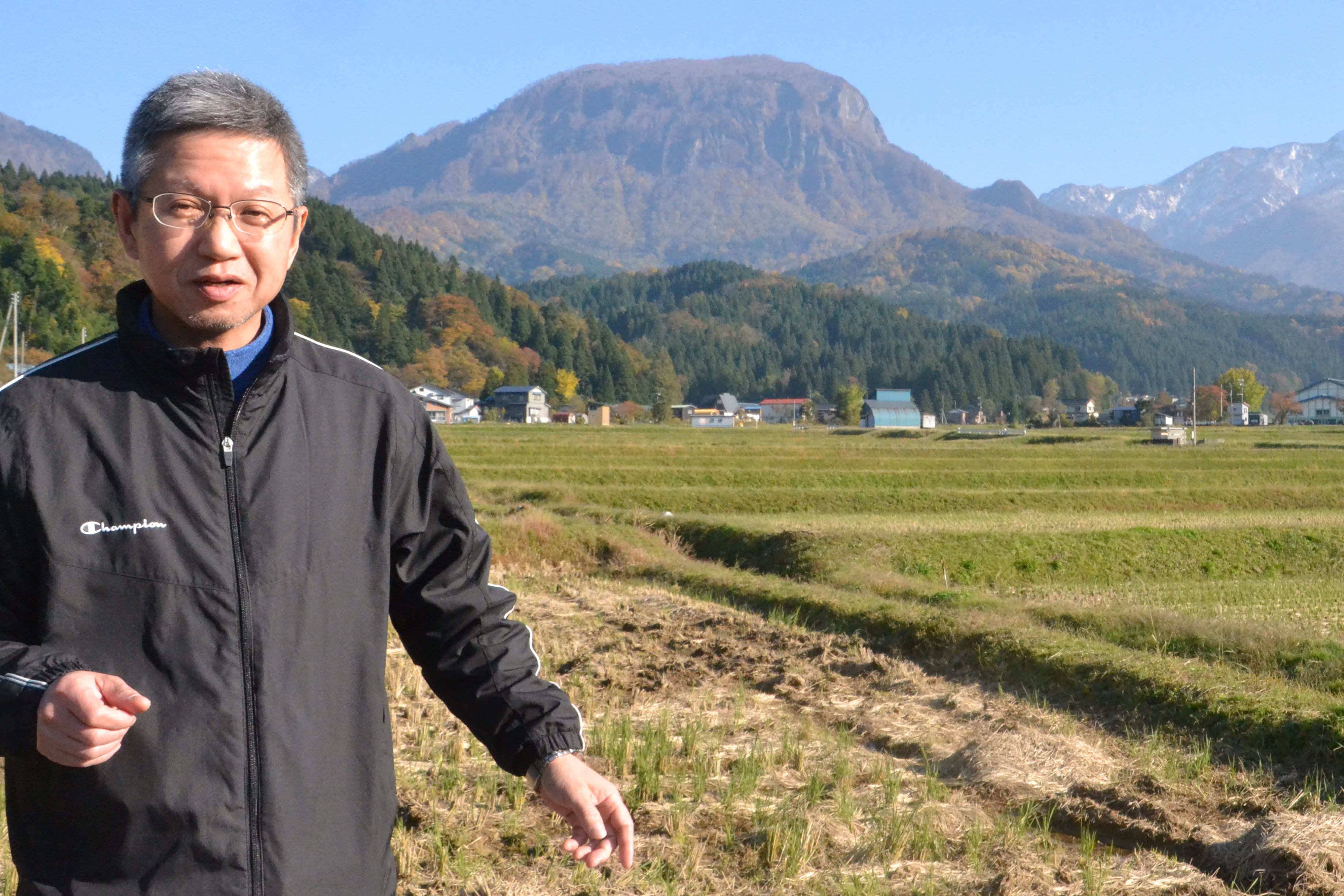 根知男山