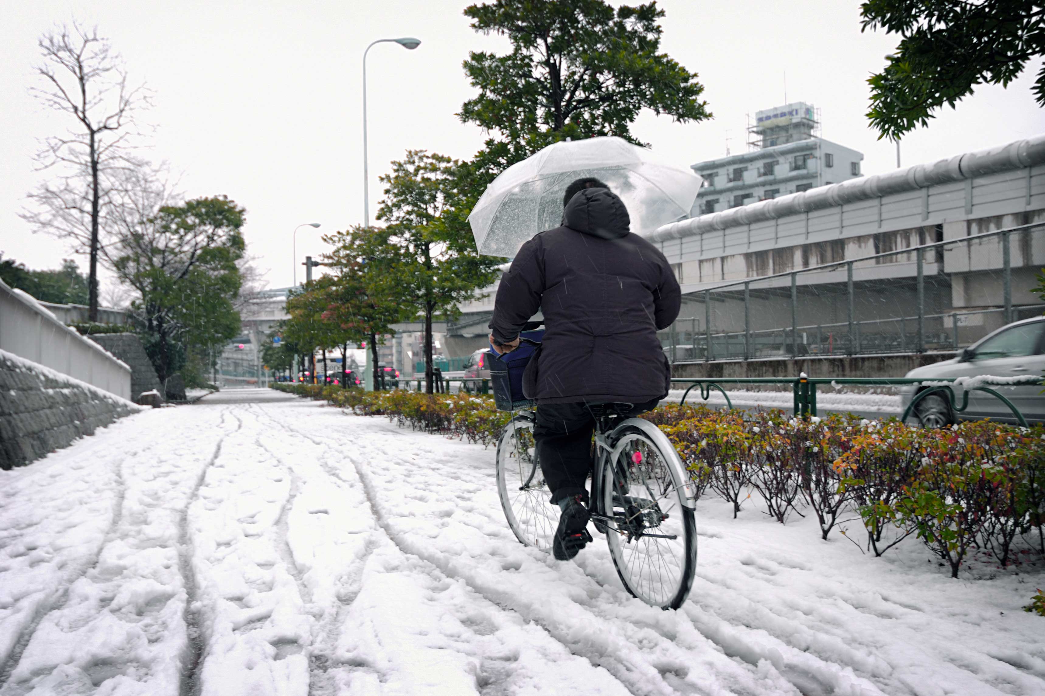 自転車 の 傘 さ し 運転