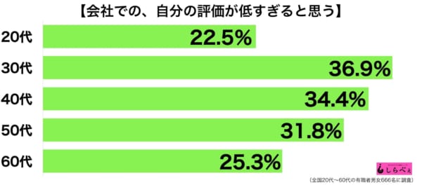 会社の評価グラフ