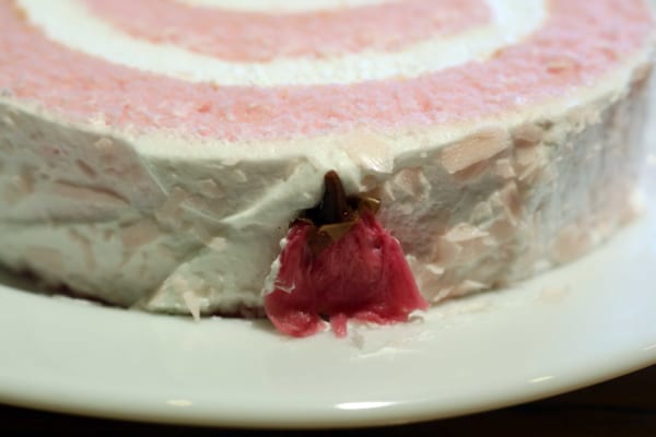 sirabee20180313abokadosa2