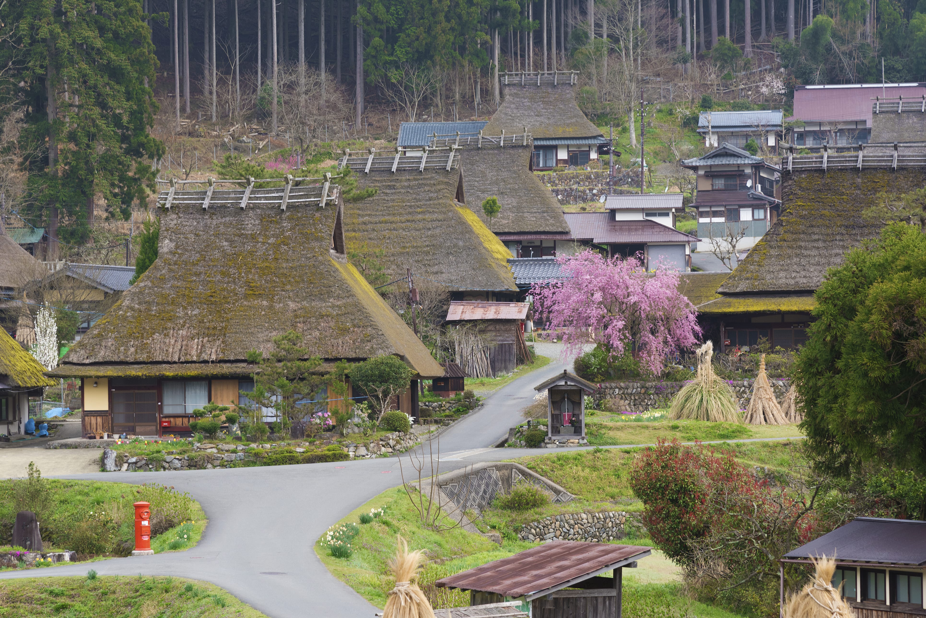 sirabee20180329inaka000