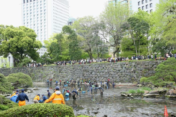 sirabee20180412ikenomizu2