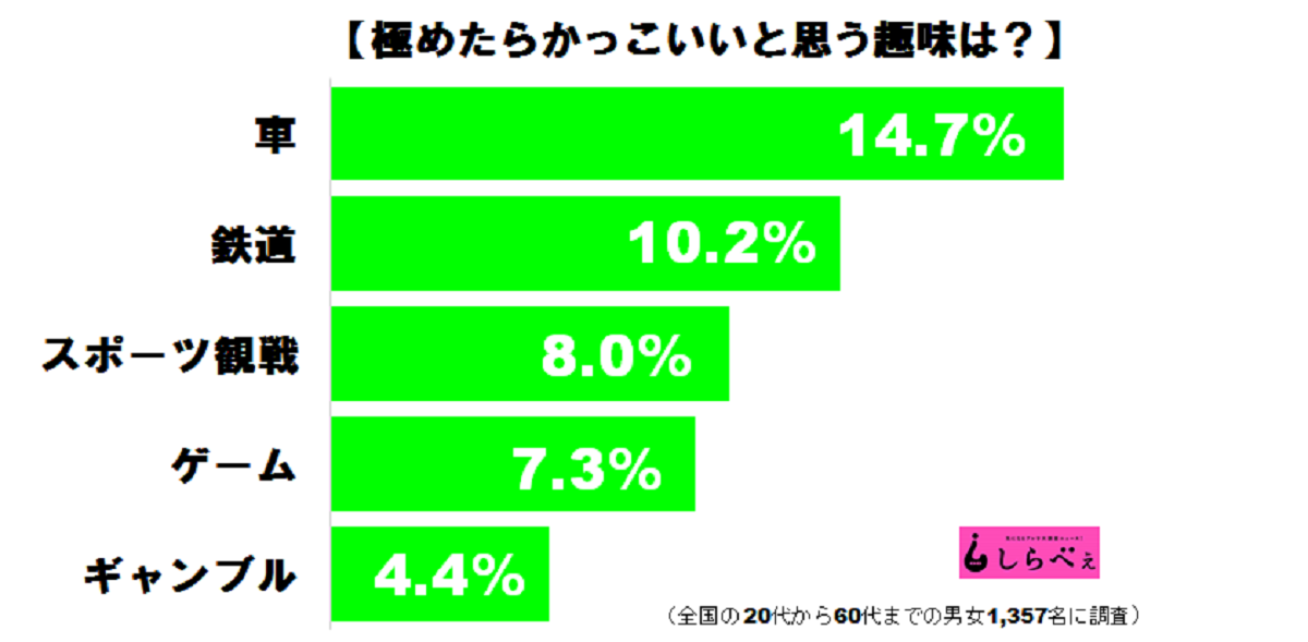 極めたらむしろかっこいい 趣味ランキングの1位はやっぱり Sirabeeshumi