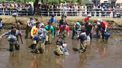 『緊急 SOS！池の水ぜんぶ抜く大作戦』