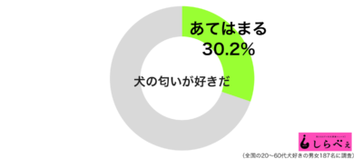 犬の匂いが好き しかし飼っていない人からは ケモノ臭い との声 ニュースサイトしらべぇ