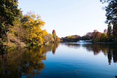 井の頭公園