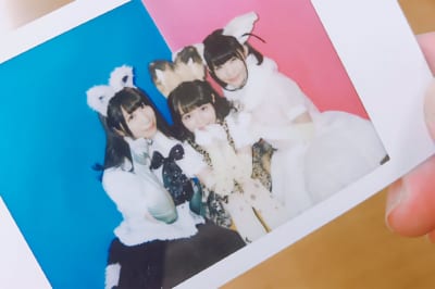 どうぶつビスケッツ