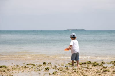 浜辺で遊ぶ男の子
