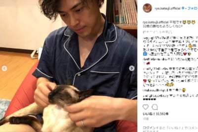 勝地涼