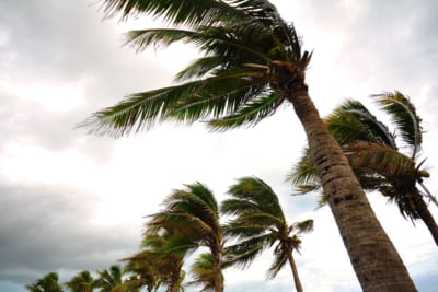台風