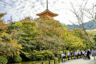 修学旅行