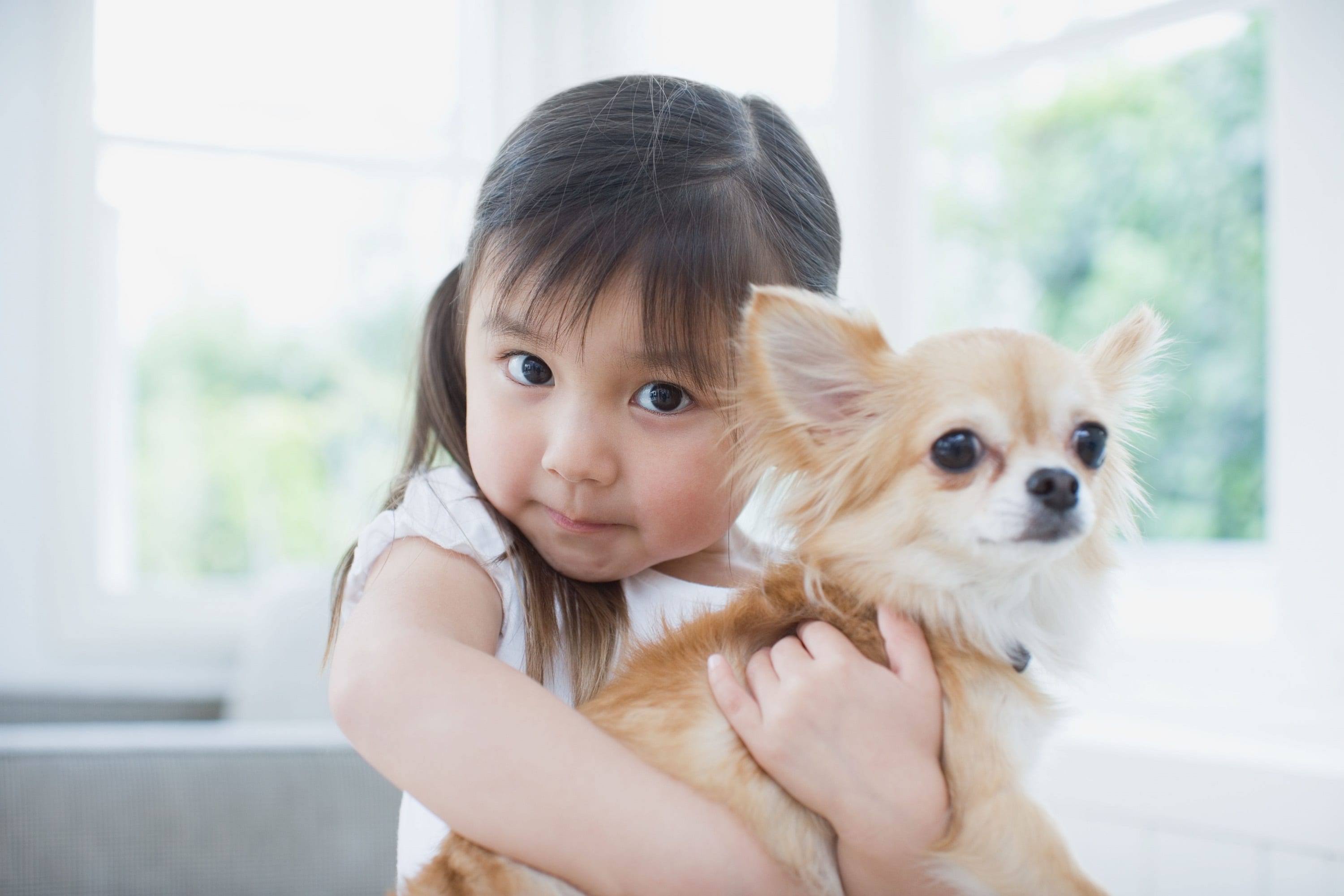 女の子と犬