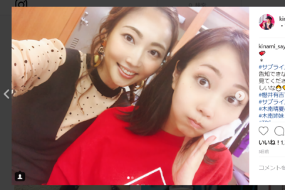 木南清香、木南晴夏