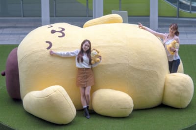ポムポムプリンのおひるねパーク