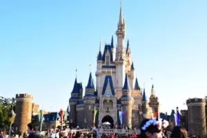 閉園後のディズニーランドで隠れていたユーチューバー どんな罪に問われるのか…弁護士に聞いた