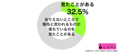 ありえないところに陰毛が落ちていたグラフ