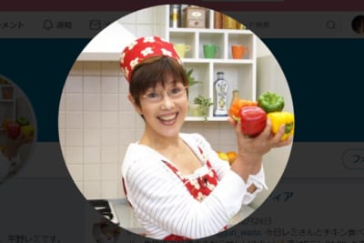 平野レミ