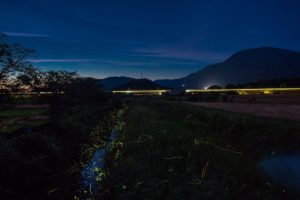 川