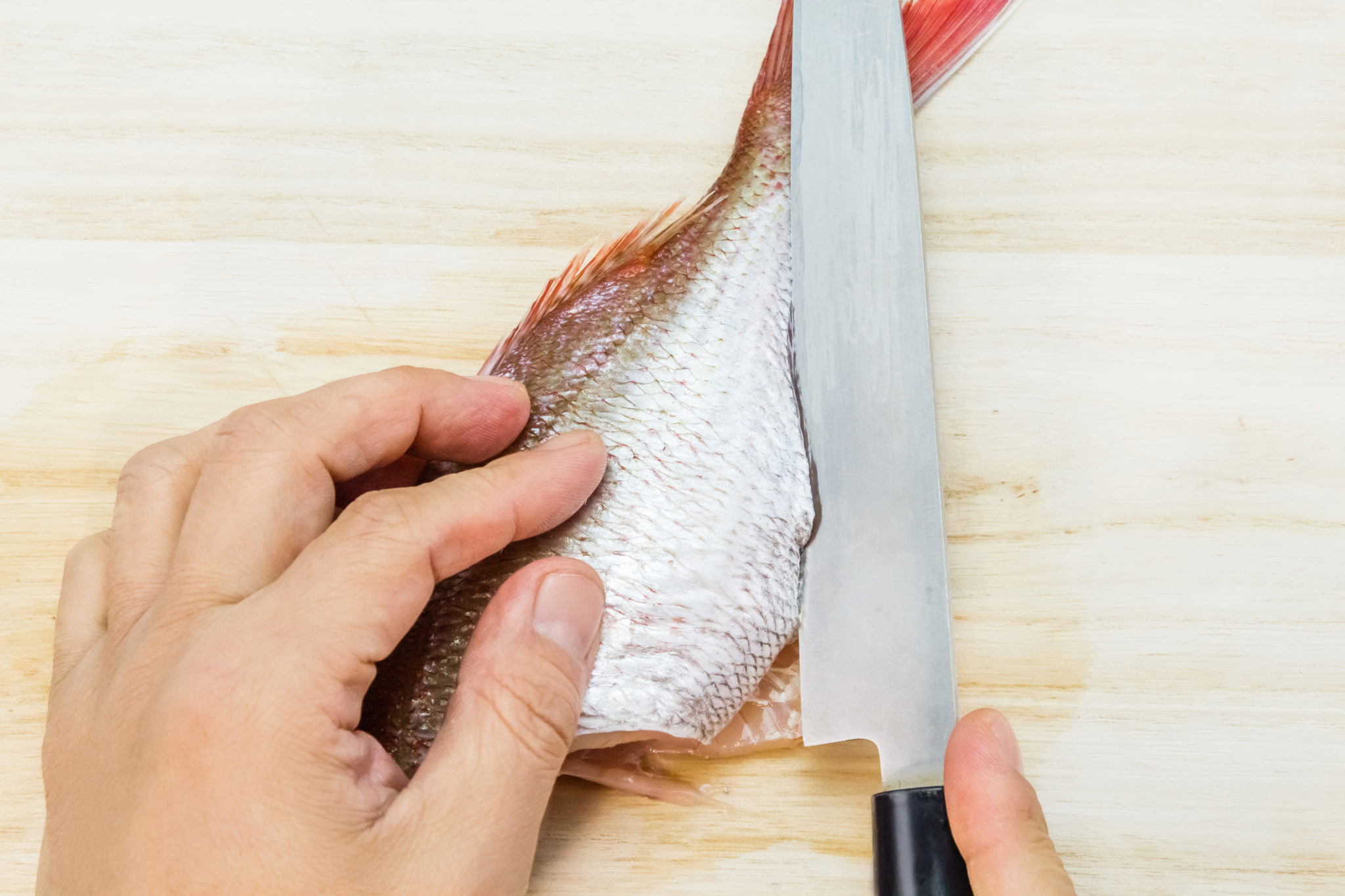 自分で魚を捌ける? なぜか九州・沖縄では手慣れた人が多い理由とは の画像一覧
