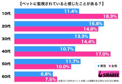 調査ペット