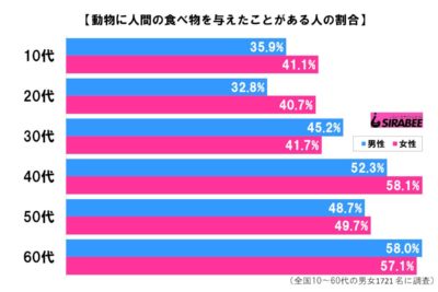 動物に人間の食べ物を与えたことがある