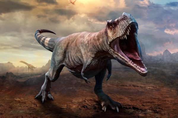 恐竜・ティラノサウルス