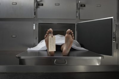 遺体