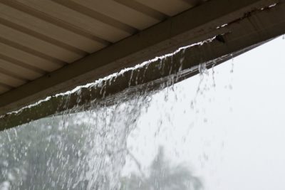 雨宿り