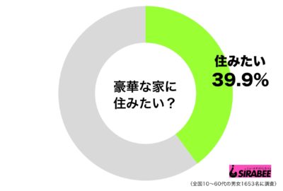 豪華な家に住みたい