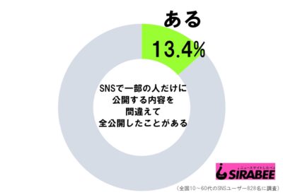 SNSの調査