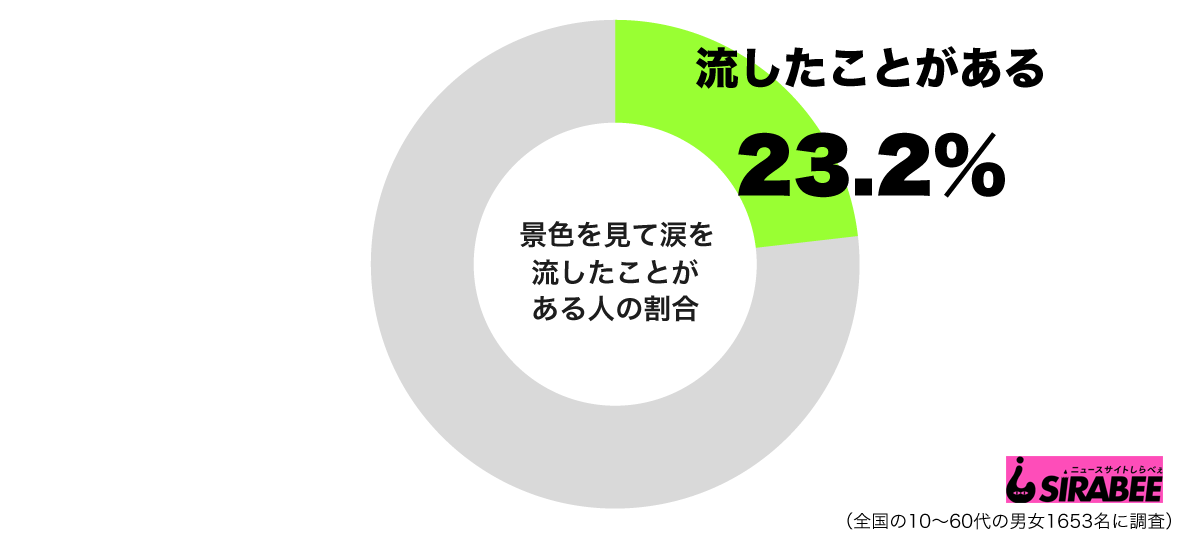 景色を見て涙を流したことがあるグラフ