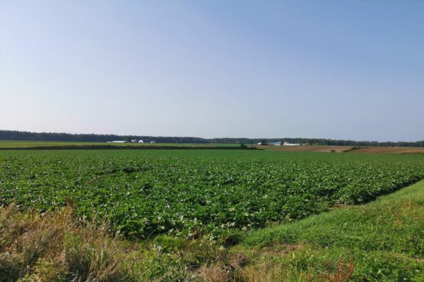 sirabee20191212hokkaidojagabutter011