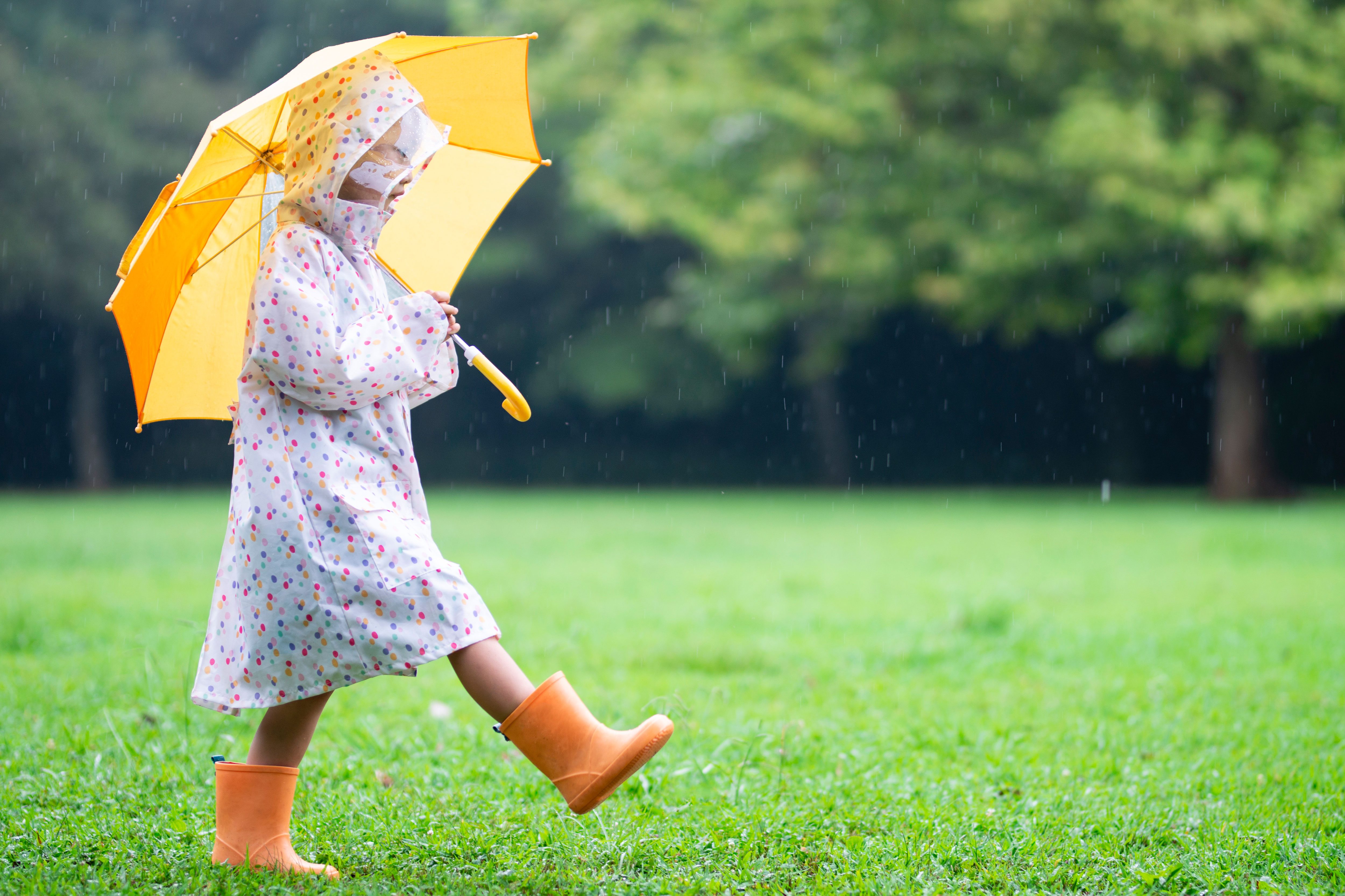 雨