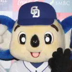 sirabee20191105chuunichidoara