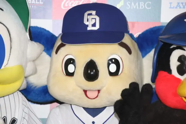 sirabee20191105chuunichidoara