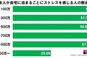 自宅お泊りストレス