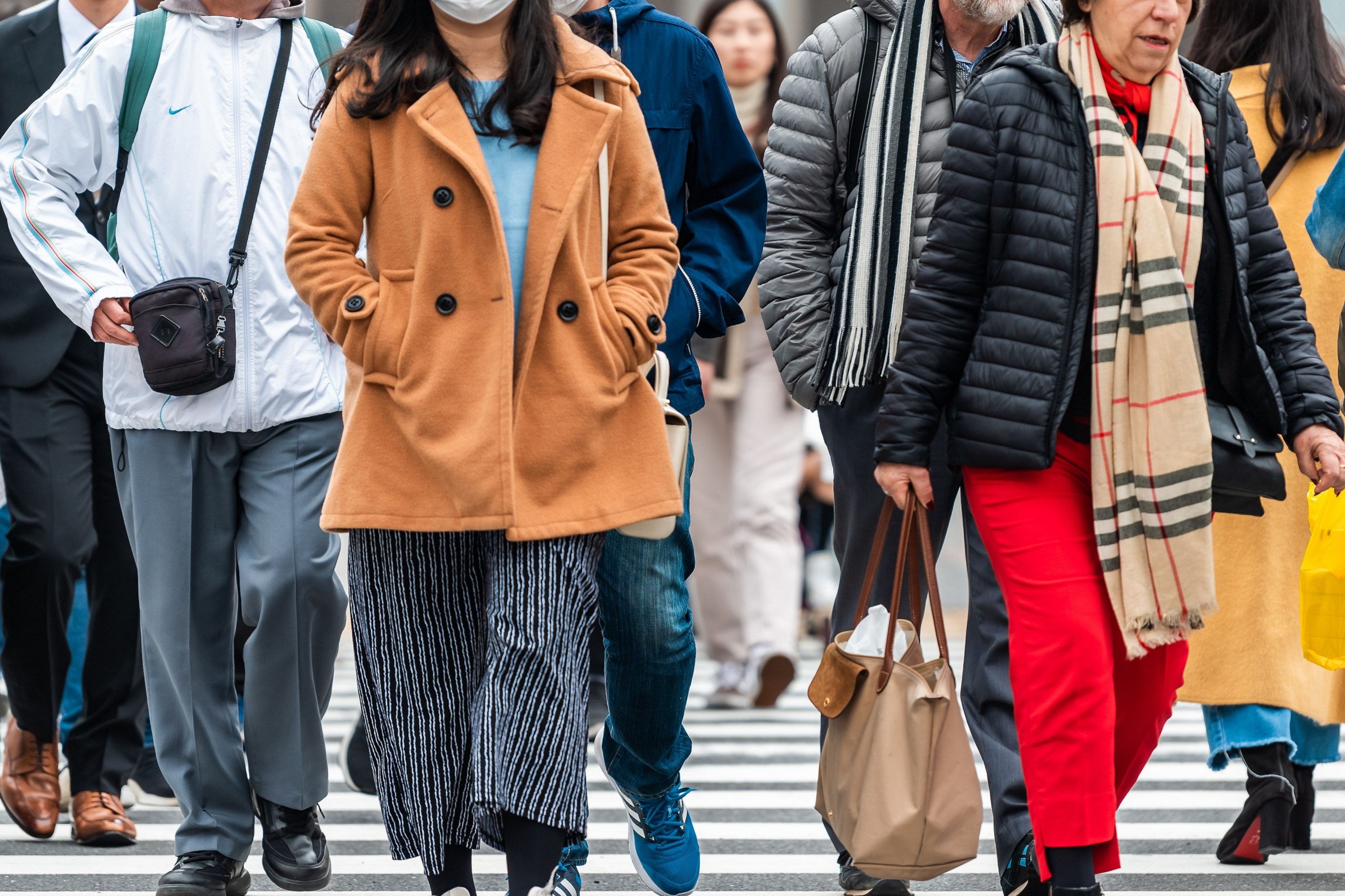冬の横断歩道