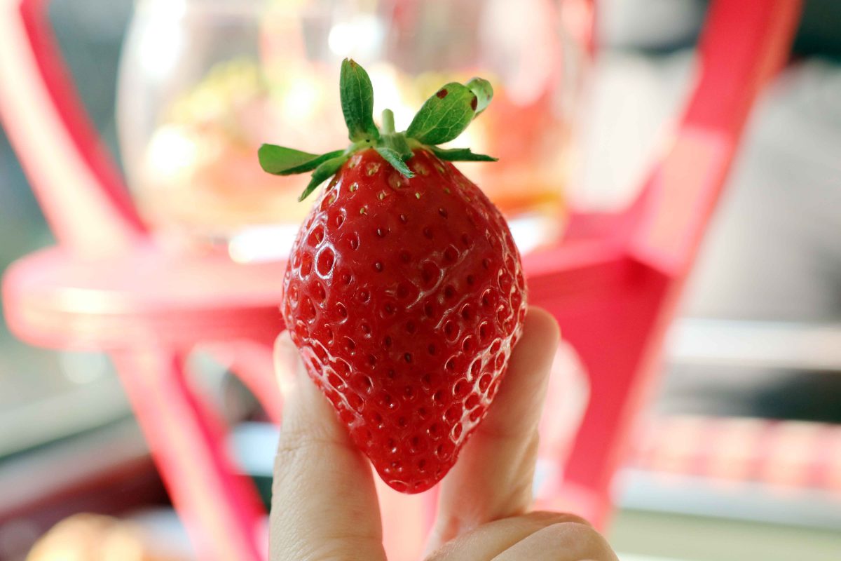 sirabee20200114ichigosan6