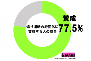 あおり運転厳罰化_円グラフ
